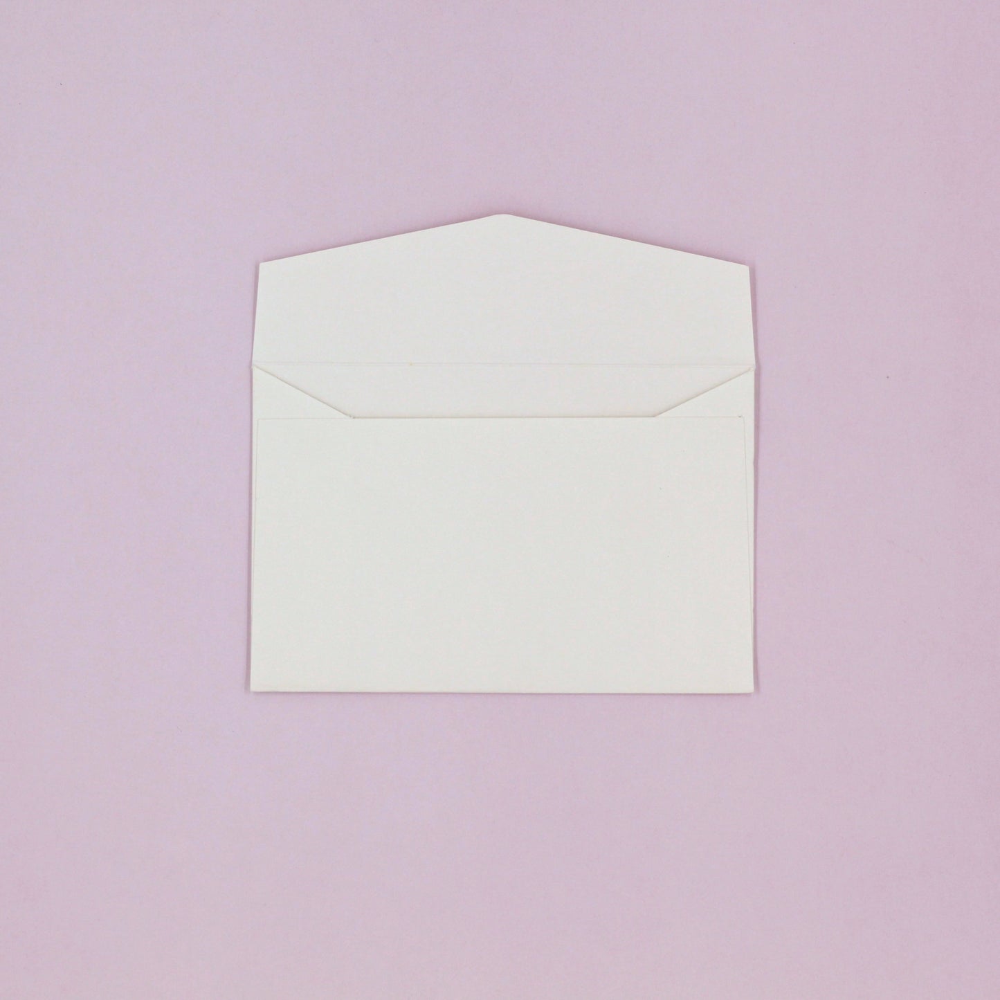 White mailing envelope, flap open